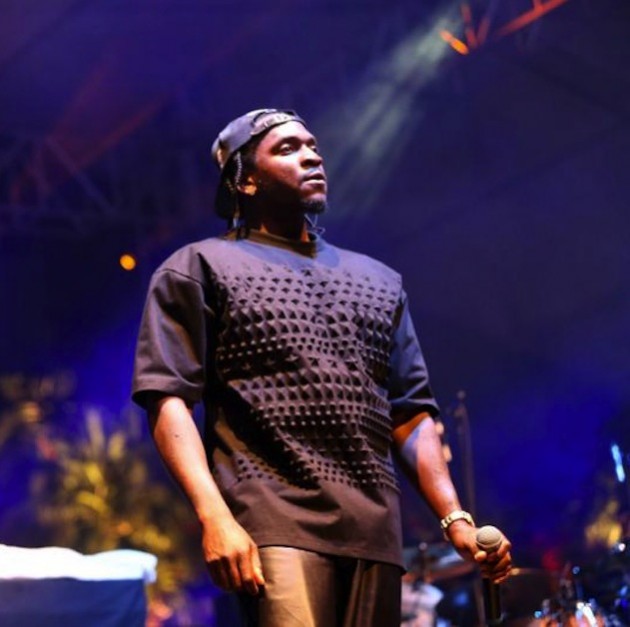 pushat2013coachellavalleymusicartsfestival1c64aw6sskfx_zps0eff0e4e