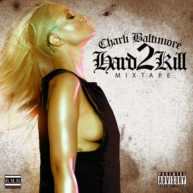 hard-to-kill-cover
