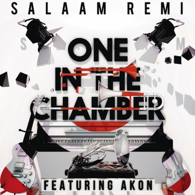 one-in-the-chamber-cover