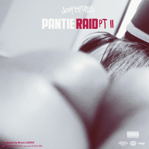 joey-badass-pantie-raid-2