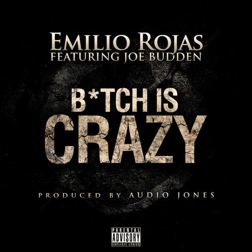 bitch is crazy