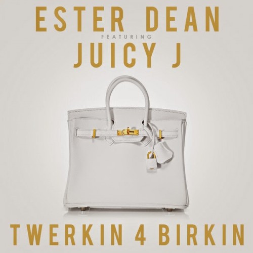 twerkin 4 birkin