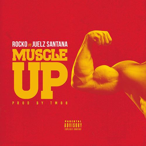 muscle-up-500x500