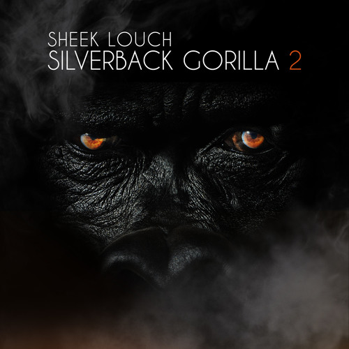 silverback-gorilla-2.jpg