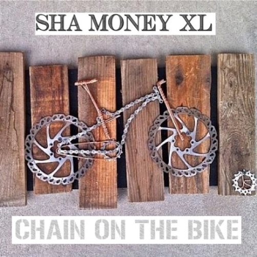 chain on the bike