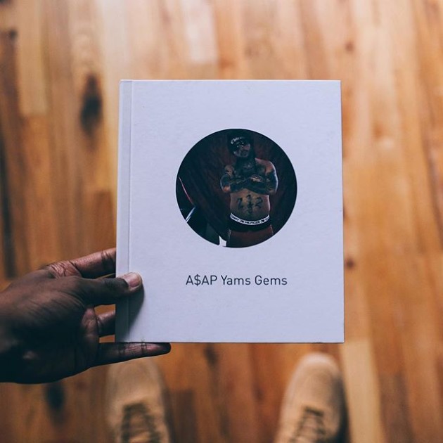 yamsbookcover