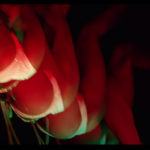 Screen Shot 2016-03-31 at 5.13.10 PM