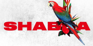 Screen Shot 2016-07-01 at 10.10.50 PM