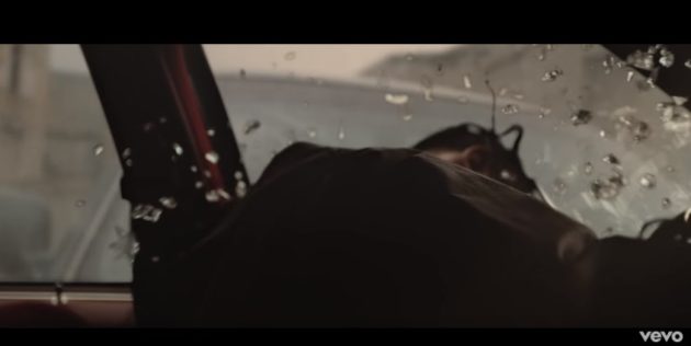 birdsfilm