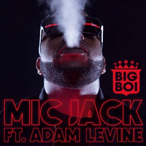 mic jack