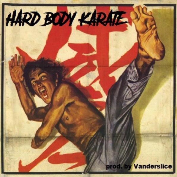hardbody karate
